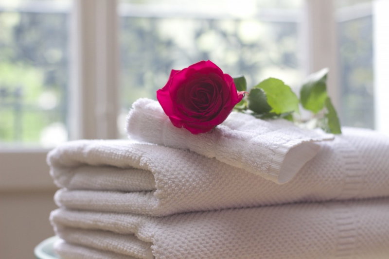 chambre-hote-SIGNES-min_towel_rose_clean_care_salon_spa_white_bath-731641